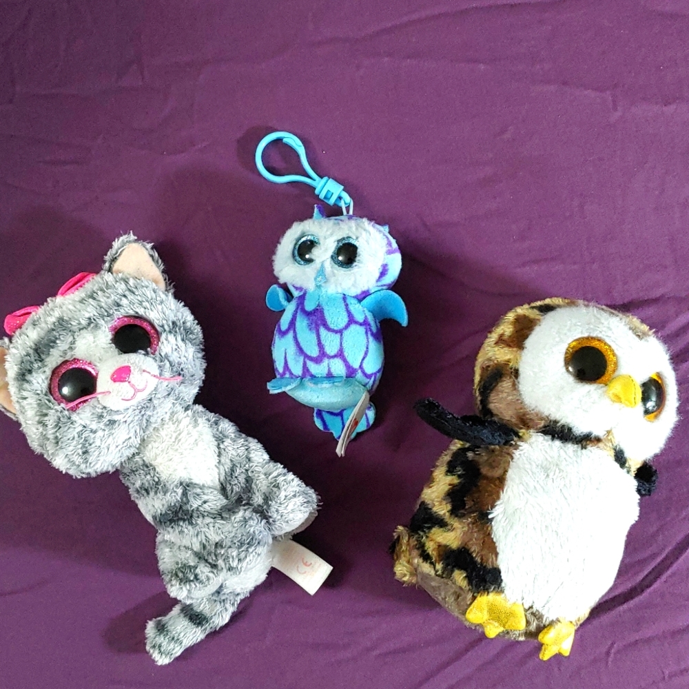 TY Beanie Boo Toy Collection
